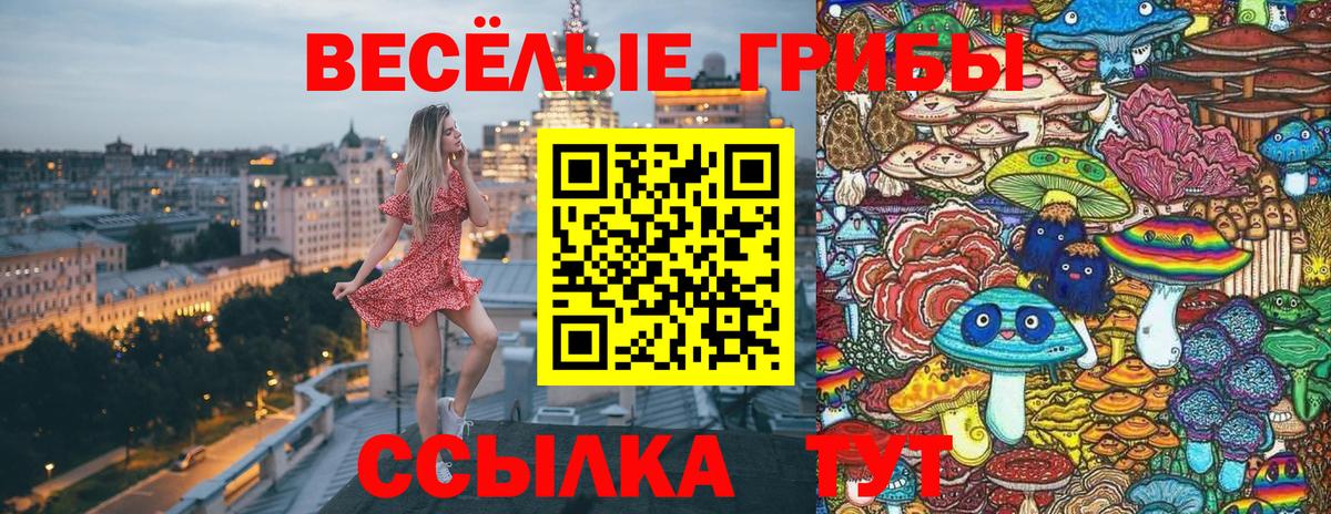 где найти   Вход с VPN  Псилоцибиновые грибы MAGIC MUSHROOMS  Симферополь  Галлюциногенные грибы MAGIC MUSHROOMS 