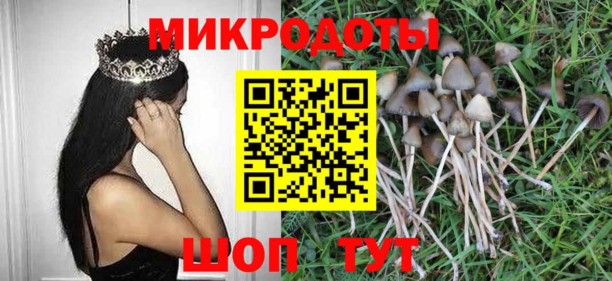 Галлюциногенные грибы Magic Shrooms Симферополь